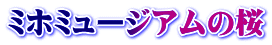 ミホミュージアムの桜