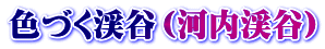 色づく渓谷（河内渓谷）