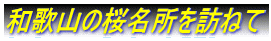和歌山の桜名所を訪ねて