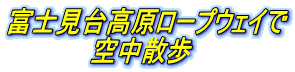 富士見台高原ロープウェイで
空中散歩